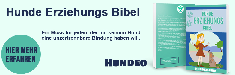 Hunde Erziehungs Bibel