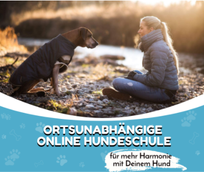 Online Hundeschule